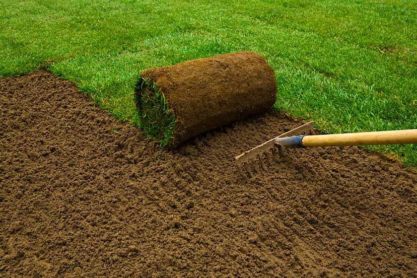 Topsoil removal