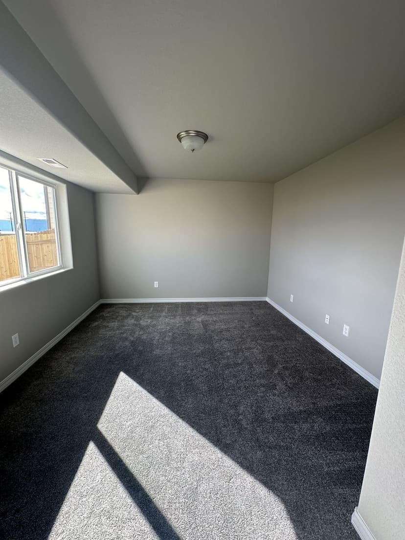 Carpet