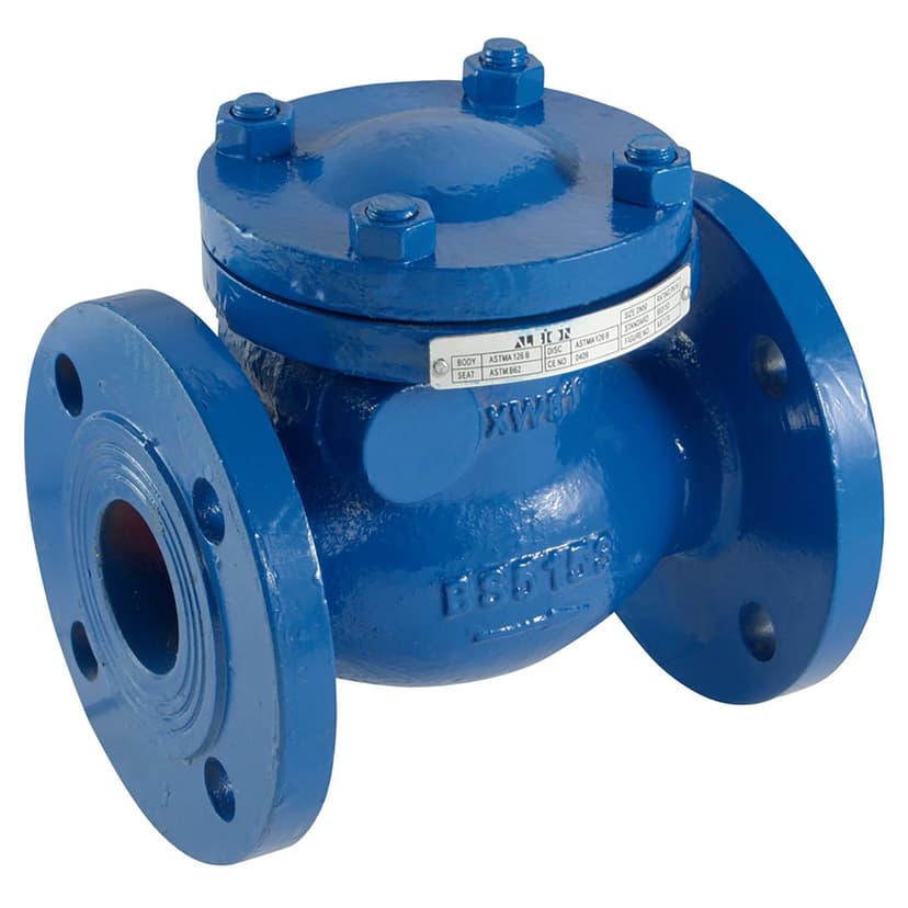Check valve